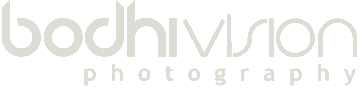 bodhi vision logo