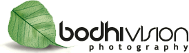 Bodhi Vision